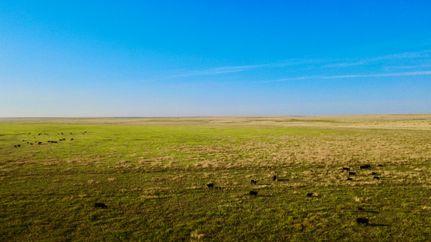 Timberland Property for sale in Oldham County, Texas