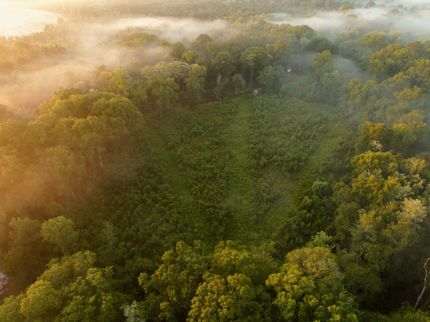 Timberland Property for sale in Worth County, Georgia