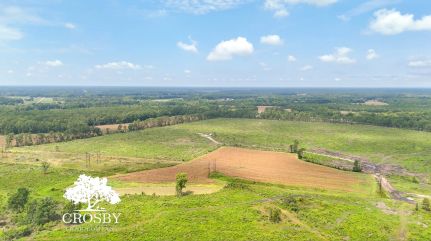Undeveloped Land for sale in Darlington County, South Carolina