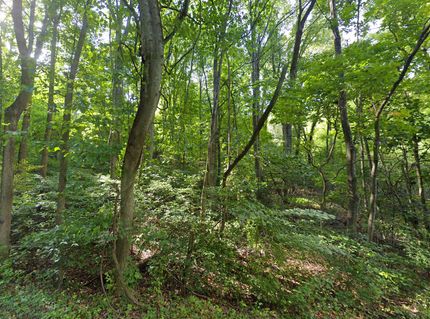 Residential Property in Rockingham County, Virginia