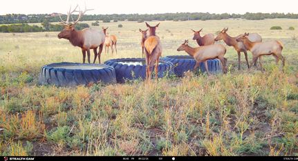 Property for sale in Pueblo County, Colorado