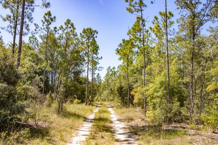 Residential Property for sale in Liberty County, Florida