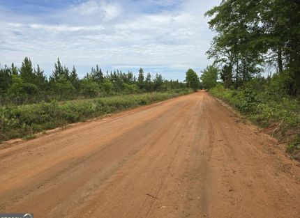 Recreational Property for sale in Schley County, Georgia