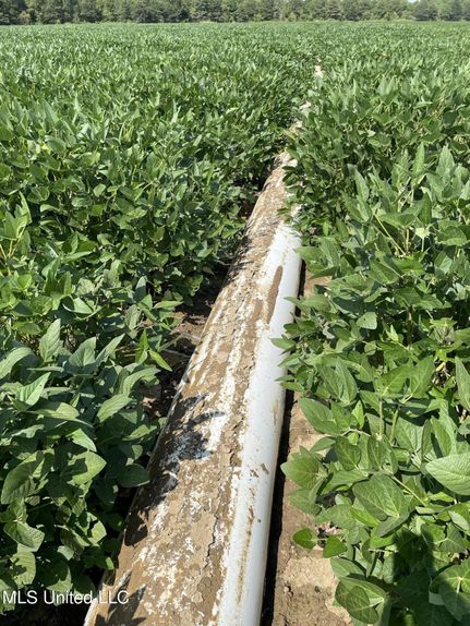 Property for sale in Sharkey County, Mississippi