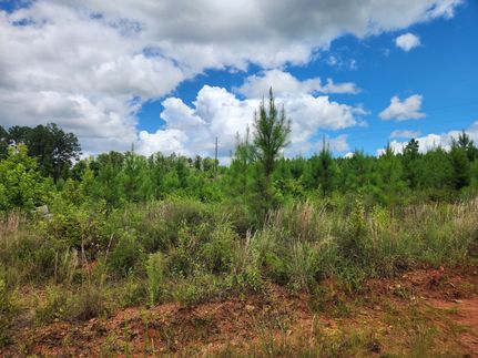 Recreational Property for sale in Tallapoosa County, Alabama