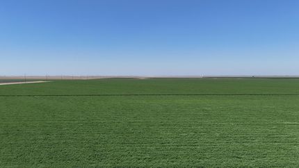 Farm Property for sale in Fresno County, California