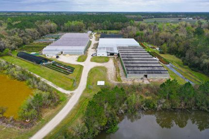 Undeveloped Land for sale in Alachua County, Florida