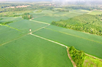 Property for sale in Sumter County, South Carolina