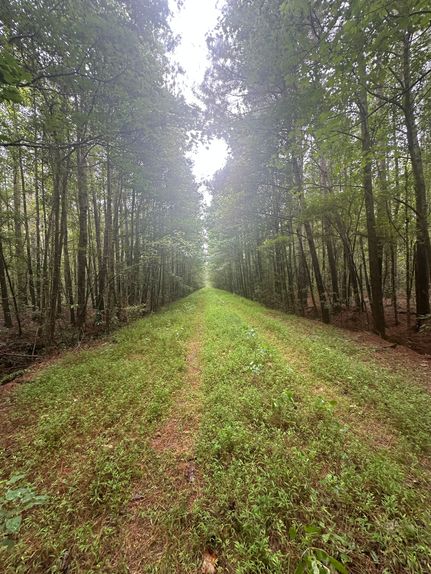 Property for sale in Duplin County, North Carolina