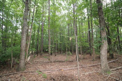Undeveloped Land for sale in York County, South Carolina