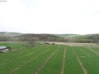 Timberland Property for sale in Umatilla County, Oregon