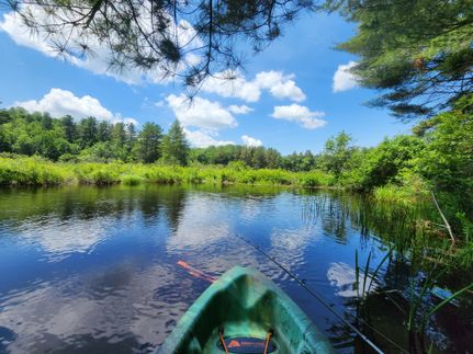 Property for sale in Lewis County, New York