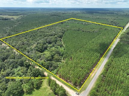 Residential Property for sale in Wilcox County, Georgia