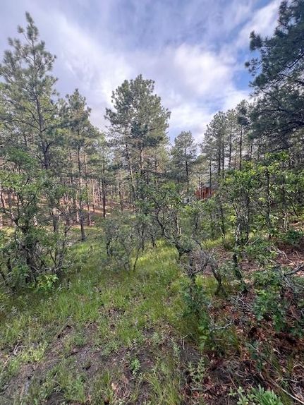 Timberland Property for sale in El Paso County, Colorado