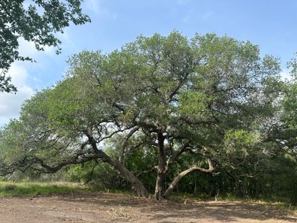 Property for sale in Goliad County, Texas