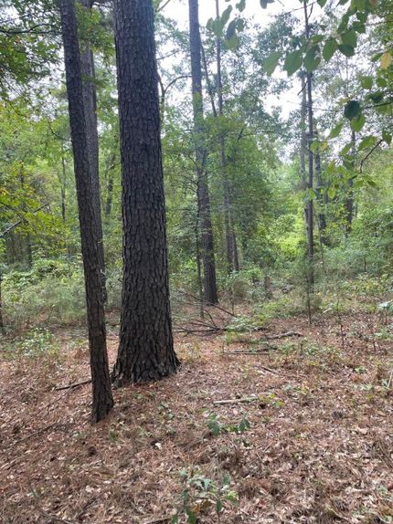 Undeveloped Land for sale in Harrison County, Texas