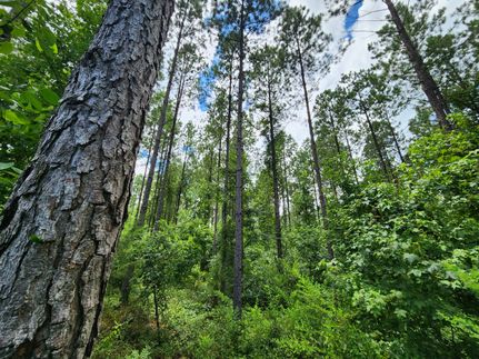 Property for sale in Tallapoosa County, Alabama