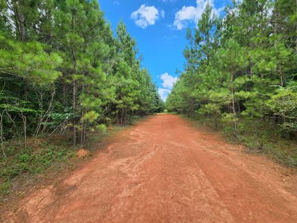 Timberland Property for sale in Tallapoosa County, Alabama