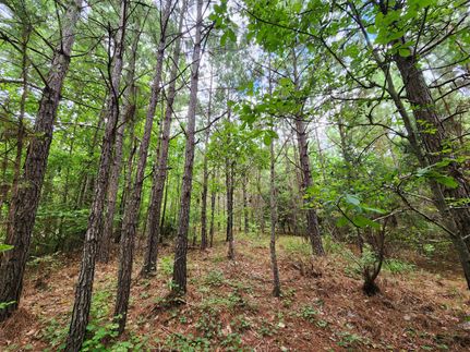 Farm Property for sale in Tallapoosa County, Alabama
