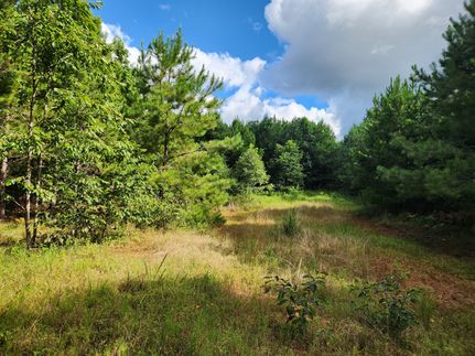Recreational Property for sale in Tallapoosa County, Alabama