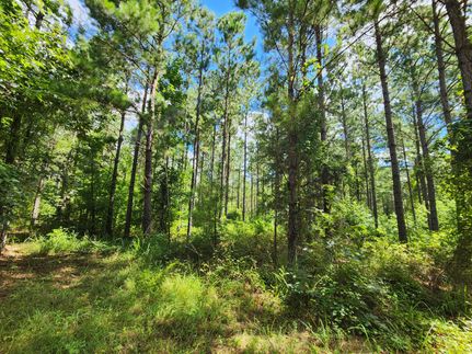 Ranch Property for sale in Tallapoosa County, Alabama