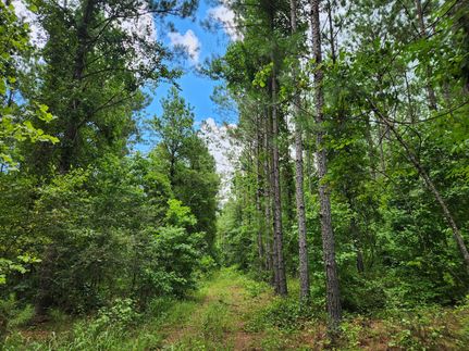 Recreational Property for sale in Tallapoosa County, Alabama