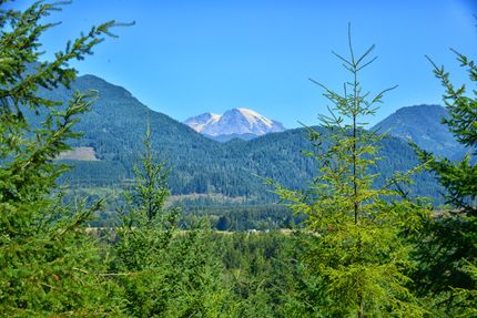 Ranch Property for sale in Lewis County, Washington