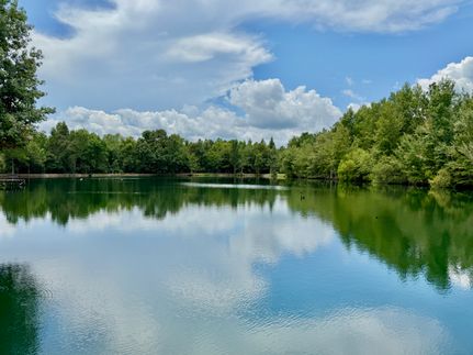 Farm Property in Geneva County, Alabama