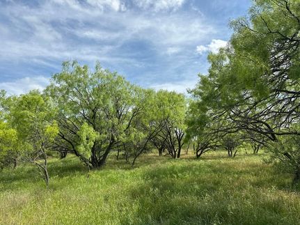 Hunting Land in Shackelford County, Texas
