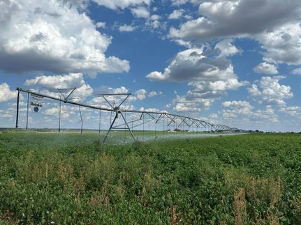 Property for sale in Uvalde County, Texas