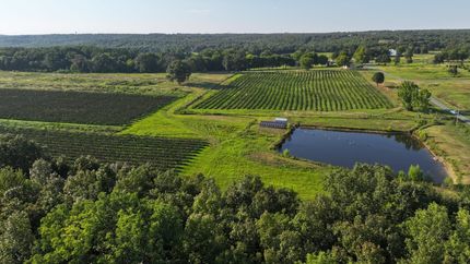 Undeveloped Land for sale in Faulkner County, Arkansas