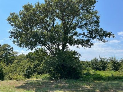 Property for sale in Pushmataha County, Oklahoma