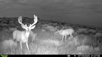Farm Property in Kearny County, Kansas