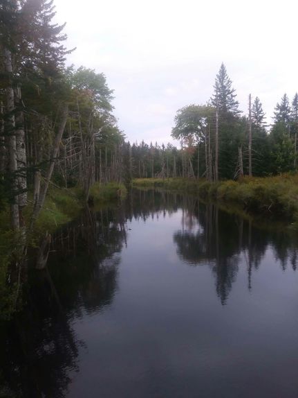 Riverfront Property in Washington County, Maine