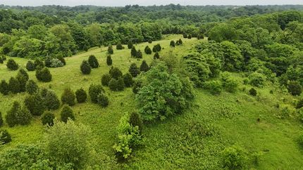 Farm Property in Switzerland County, Indiana