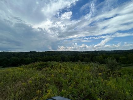 Timberland Property for sale in Guernsey County, Ohio