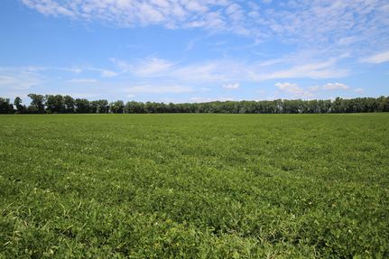 Property for sale in Martin County, North Carolina