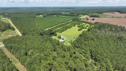 Timberland Property for sale in Williamsburg County, South Carolina