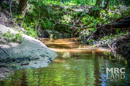 Ranch Property for sale in Sabine County, Texas