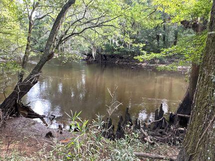 Farm Property for sale in Florence County, South Carolina