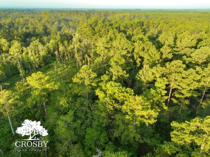 Ranch Property for sale in Bulloch County, Georgia