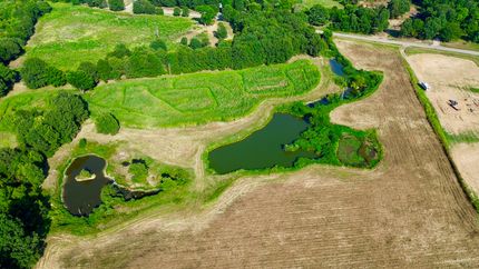 Property for sale in Greene County, Arkansas