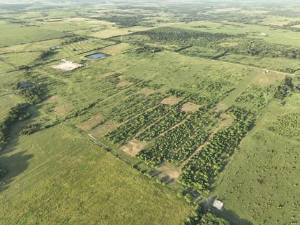 Property for sale in Dewitt County, Texas