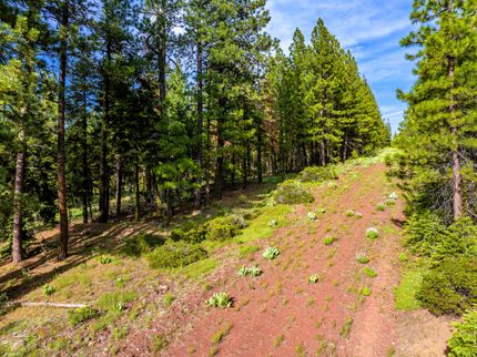 Undeveloped Land for sale in Modoc County, California