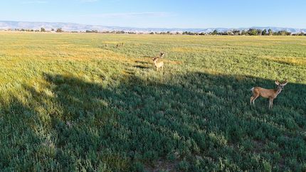 Recreational Property for sale in Carbon County, Utah