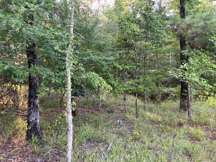 Timberland Property for sale in LaSalle Parish, Louisiana