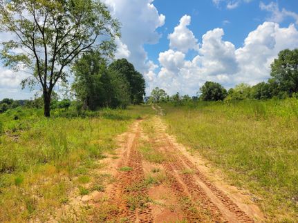 Hunting Land for sale in Clay County, Georgia