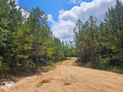 Residential Property for sale in Marengo County, Alabama