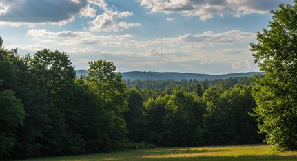 Property for sale in Limestone County, Texas