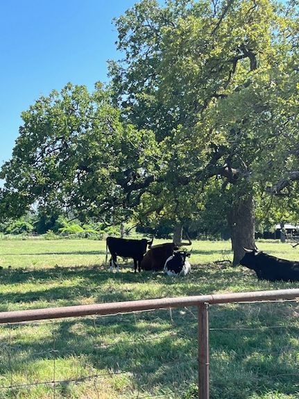 Recreational Property for sale in Wise County, Texas